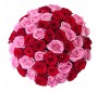 51 красно розовые розы 