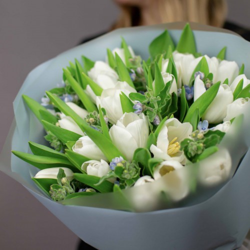 Букет из 25 белых тюльпанов и оксипеталума