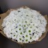 Букет из белых кустовых хризантем, 19 шт