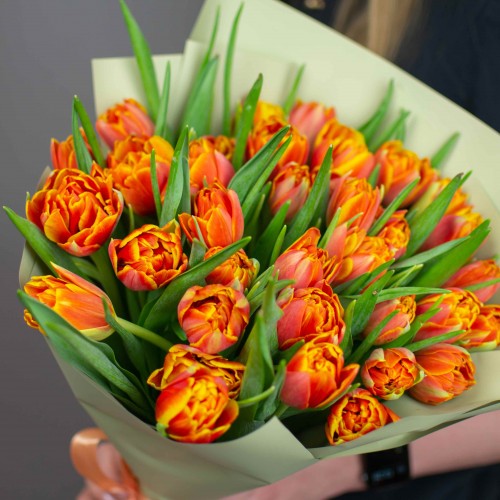 Букет рыжих пионовидных тюльпанов, 35 шт