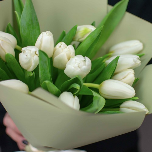 Букет белых тюльпанов, 15 шт