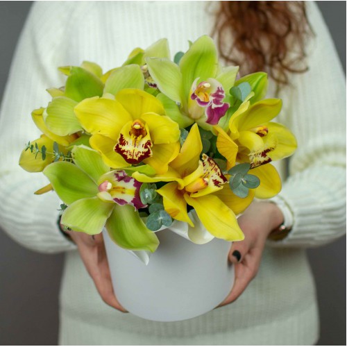 Коробка с сочными орхидеями