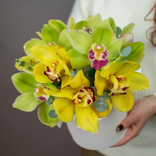 Коробка с сочными орхидеями